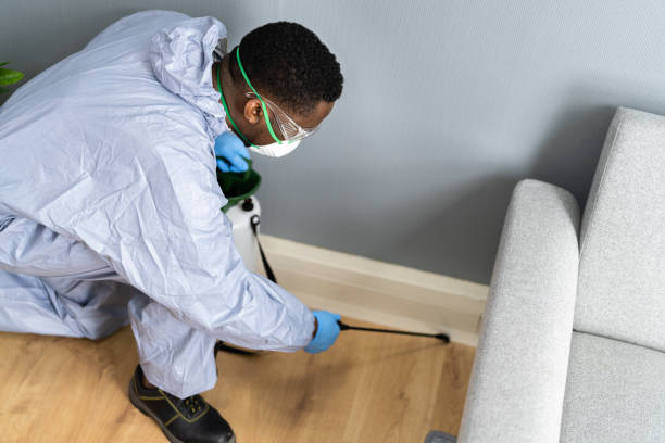 Best Pest Prevention Services  in Rio Verde, AZ